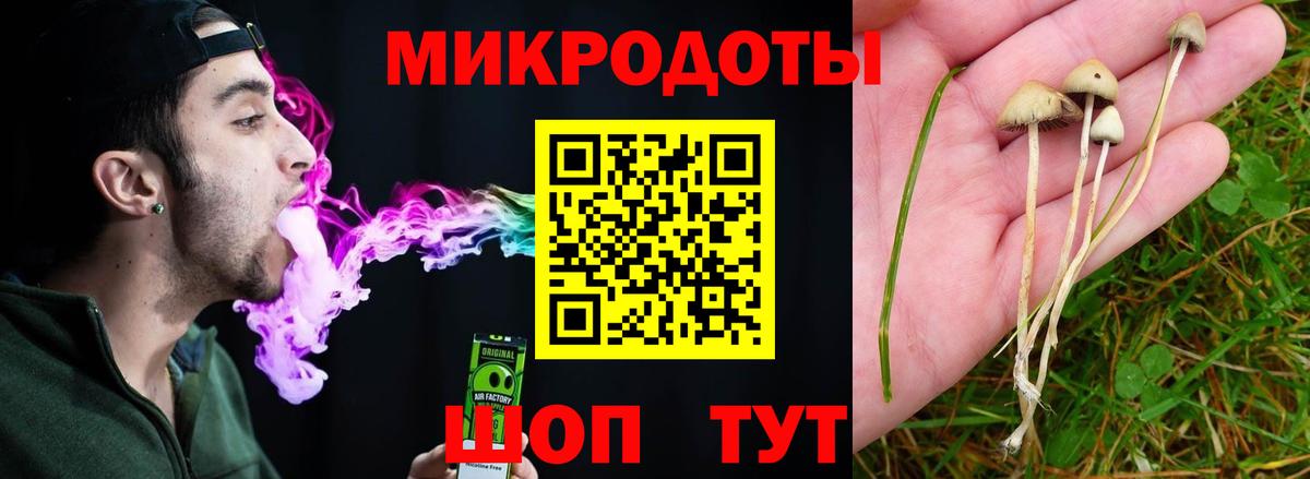 закладки  Галлюциногенные грибы прущие грибы  Коркино  Псилоцибиновые грибы ЛСД 