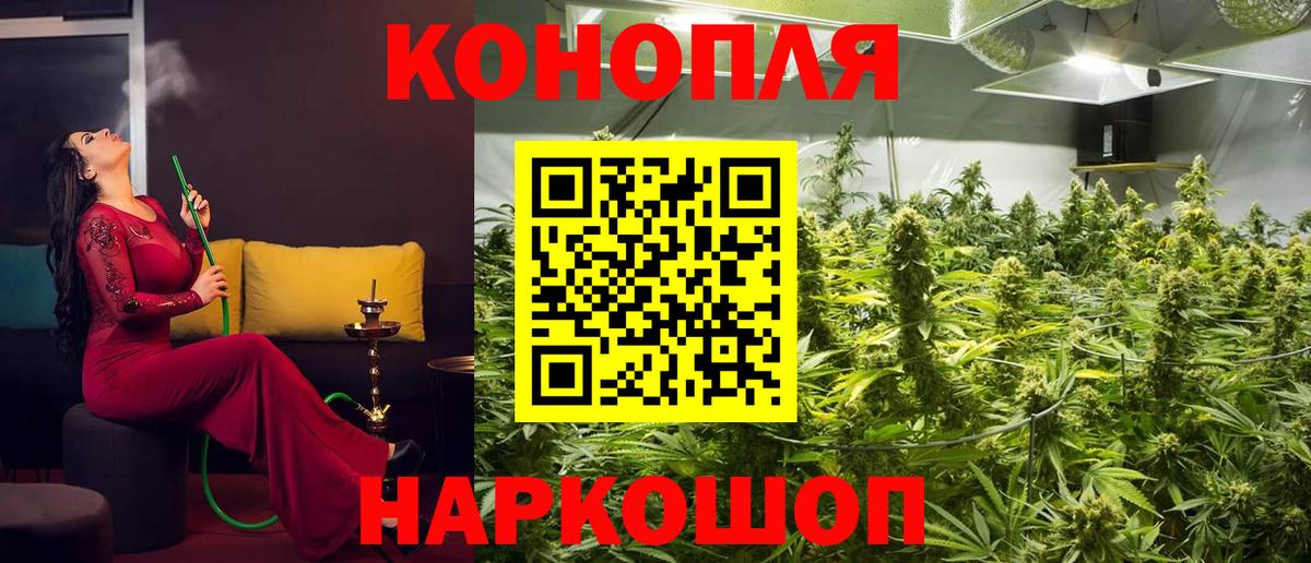 Шишки марихуана THC 21%  Каннабис планчик  МАРИХУАНА план  Коркино 